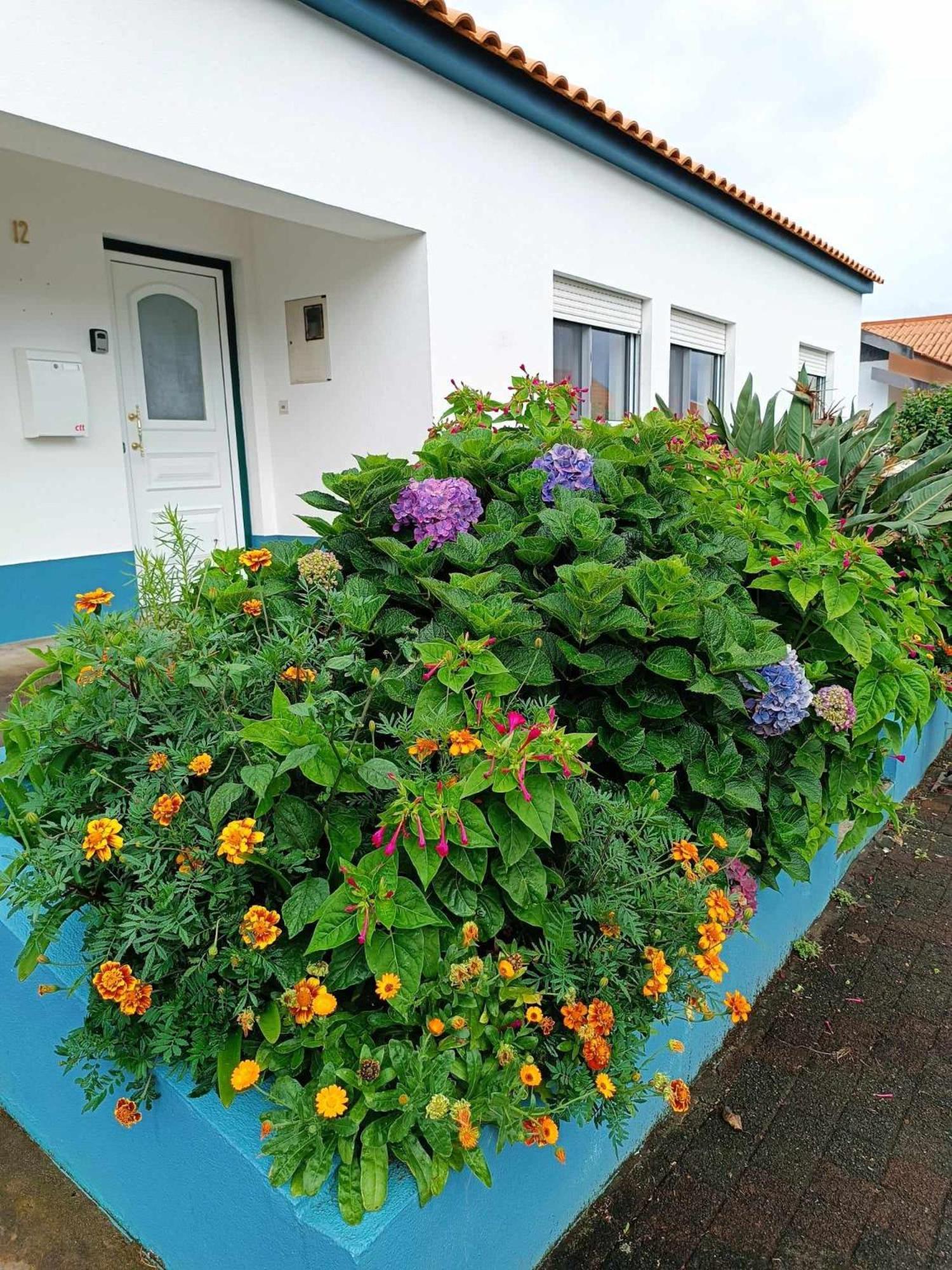 Apartamento Da Matilde Santa Cruz das Flores Dış mekan fotoğraf
